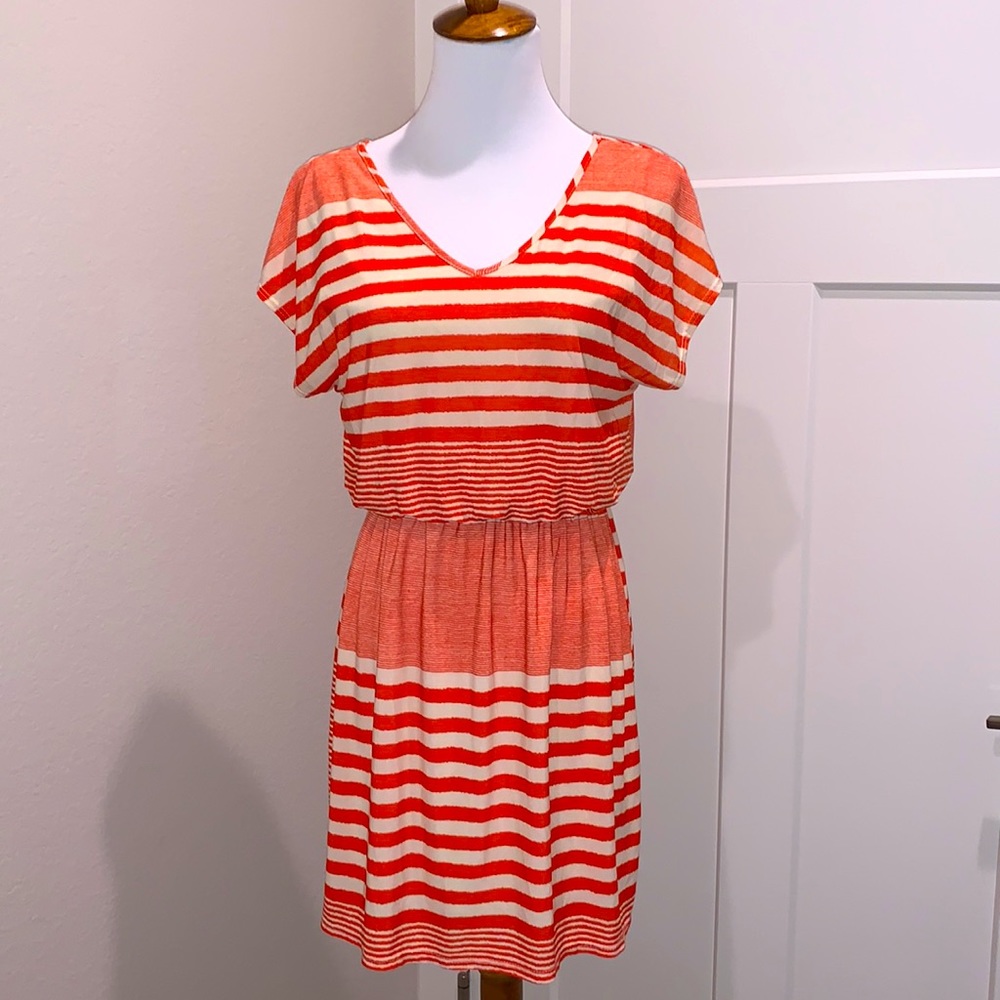 Pink Rose Striped Dress